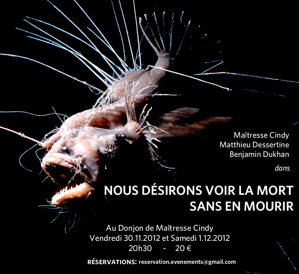 Maîtresse Cindy, Matthieu Dessertine, Benjamin Dukhan dans NOUS DESIRONS VOIR LA MORT SANS EN MOURIR. Au Donjon de Maîtresse Cindy. Vendredi 30.11.2012 et Samedi 1.12.2012. 20h30 - 20€